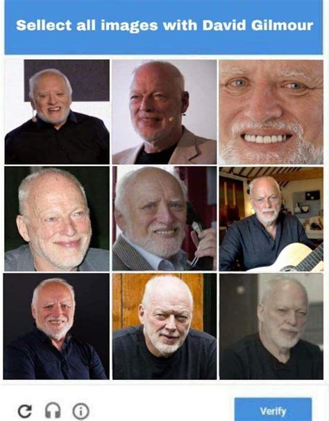 david gilmour memes|dave gilmour gifs.